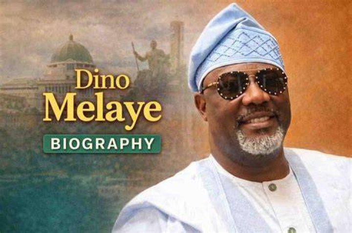 Dino Melaye Biography, Age, Early Life, Family, Education, Political
