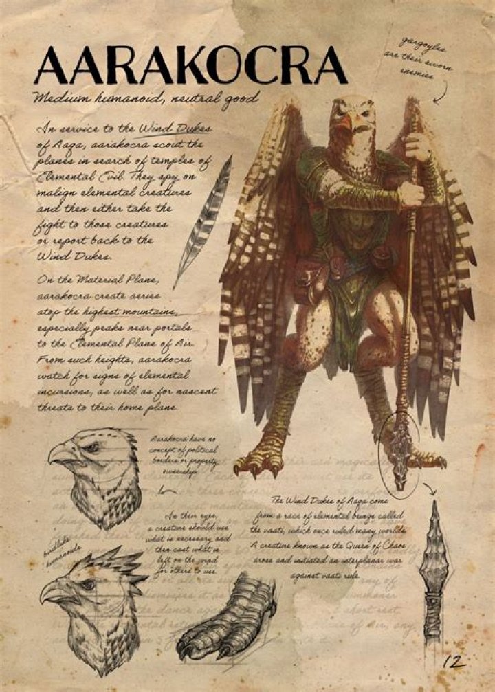 Discover Enchanting Aarakocra Names For D&D