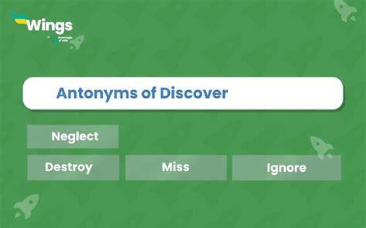 Discover Meaning, Designs, And More