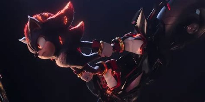 Discover Shadow The Hedgehog's True Love