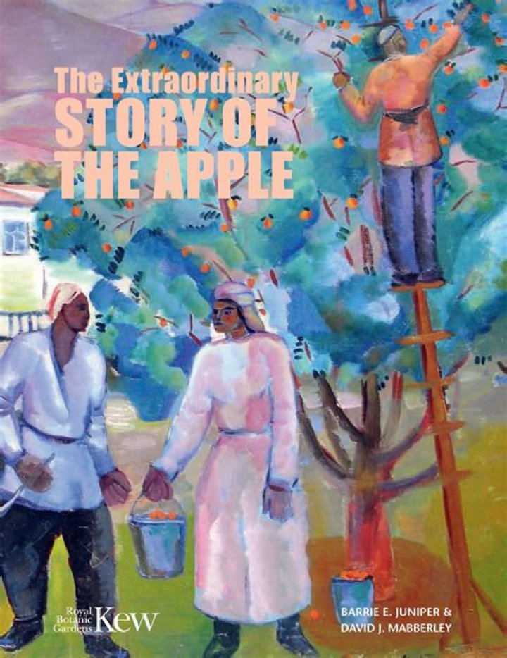 Discover The Extraordinary Story Of Nate