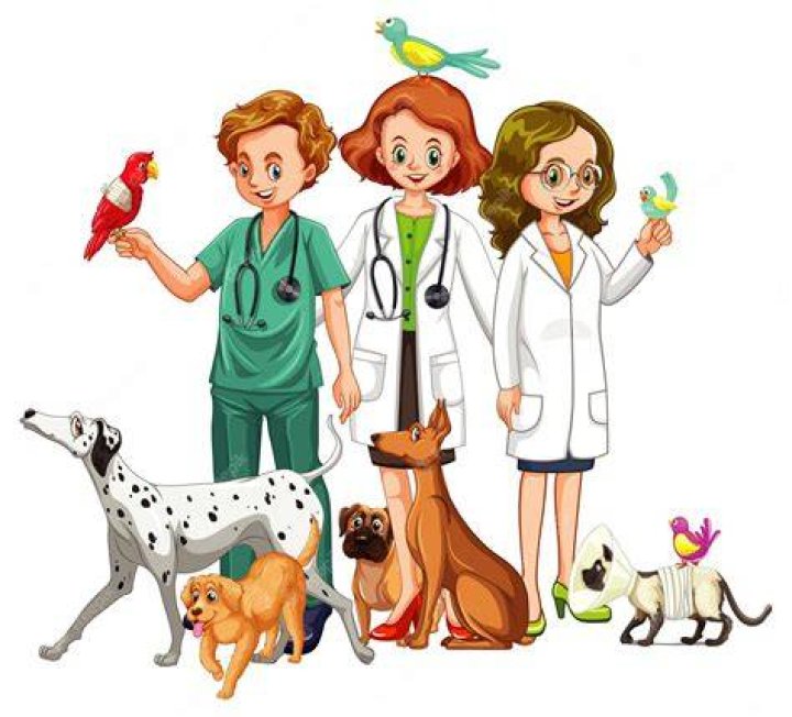 Discover The Impactful Contributions Of Amy Haraway, A Trailblazing Veterinarian And Animal Advocate