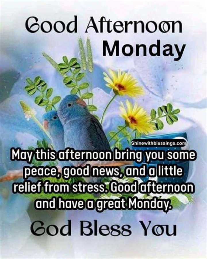 Discover The Power Of "Good Afternoon Monday Blessings"