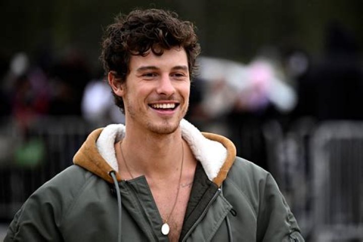 Discover The Ultimate Guide To Shawn Mendes On His Wiki