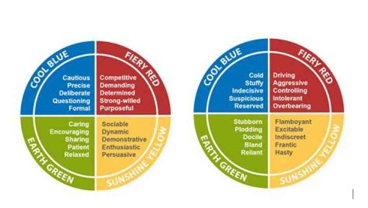 Discoveries And Insights In Software Development