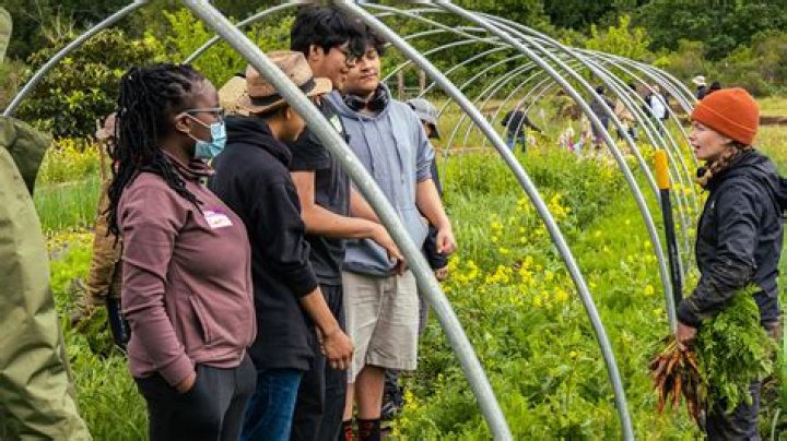 Discoveries And Insights Into Resilience And Empowerment