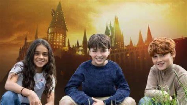 Discoveries And Insights On The Harry Potter Cast