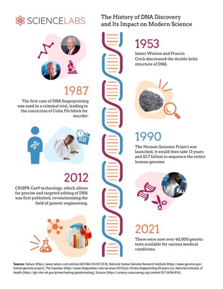 Discoveries And Insights To Revolutionize Your Diet