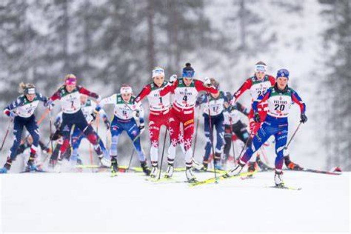 Discoveries For The Skiing Enthusiast