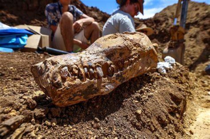 Discoveries With Paul Andrew Brunst