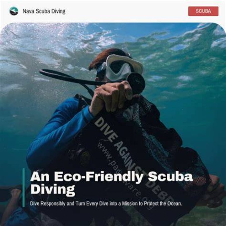 Dive Into Ocean Adventures And Conservation Insights