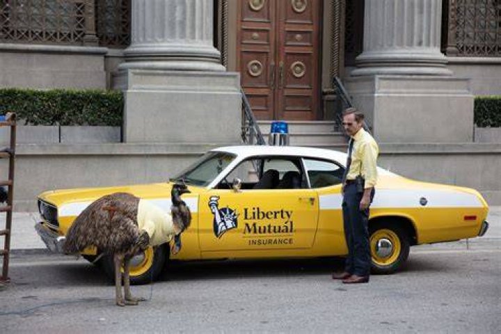 Dive Into The World Of "Liberty Mutual Emu Wife"