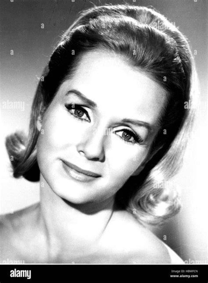 DIVORCE AMERICAN STYLE, Debbie Reynolds, Dick van Dyke, Dick Gautier