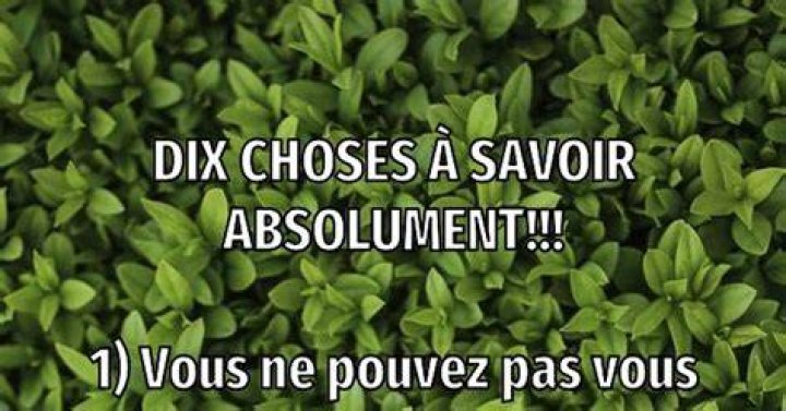 Dix choses à savoir absolument sur Rutshelle Guillaume TripFoumi Celeb