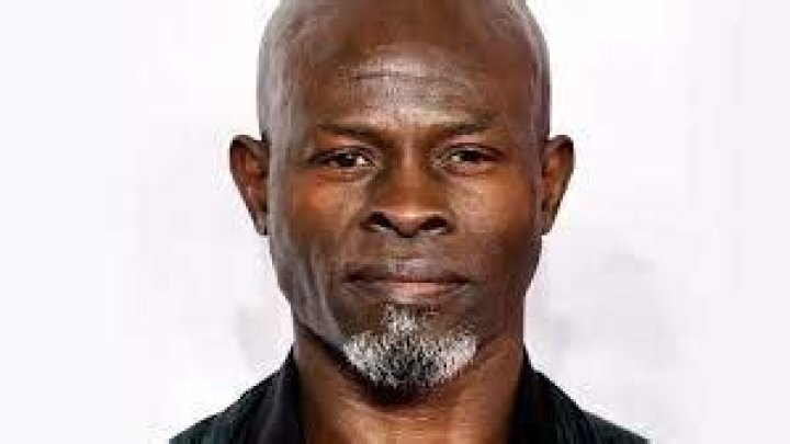 Djimon Hounsou Net Worth, Height, Age, Affair, Career, and More