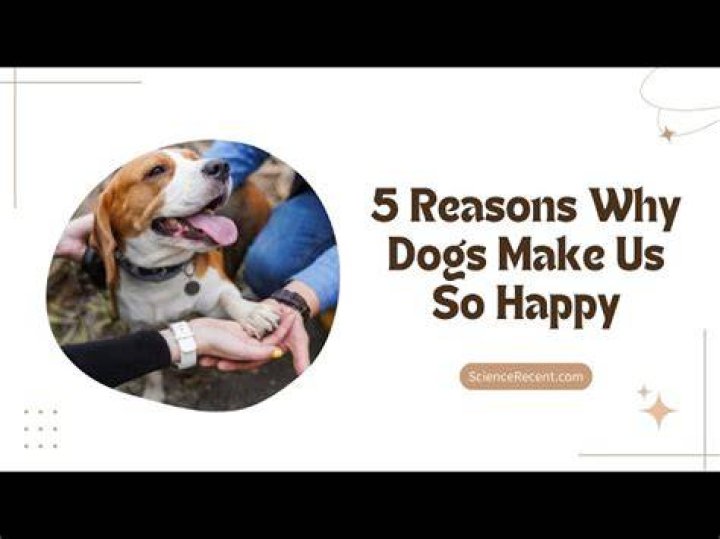 Do dogs make you safer? ·