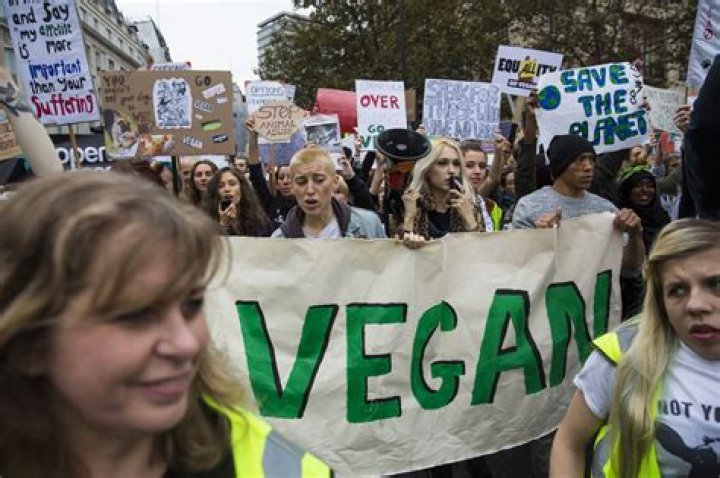 Do vegans have more energy?