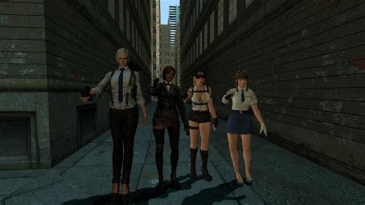 Doa Police by caasstotts on DeviantArt