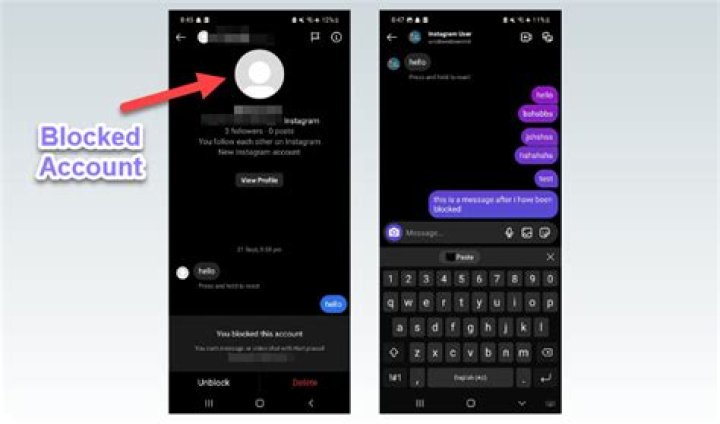 Does Blocking Someone On Instagram Delete Messages? TechCult