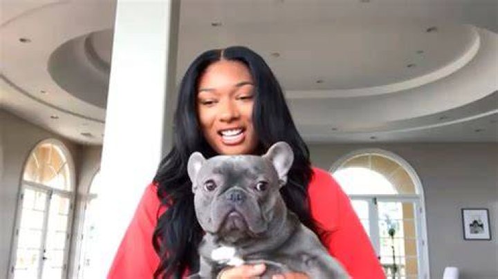 Does Megan Thee Stallion Have Kids? The Rapper Has Five "Sons"