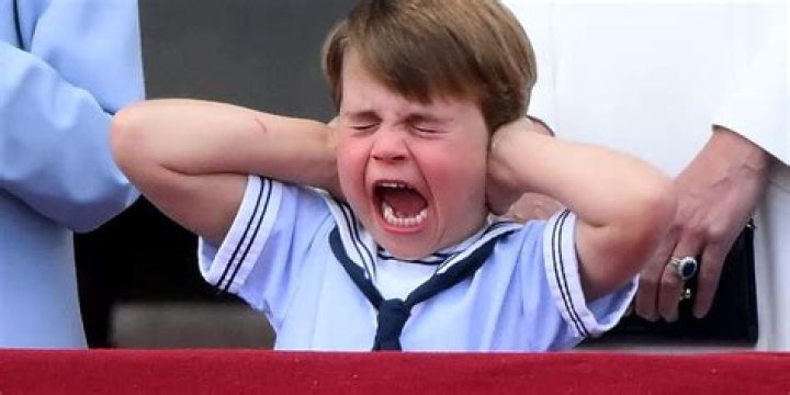 Does Prince Louis Have Autism?