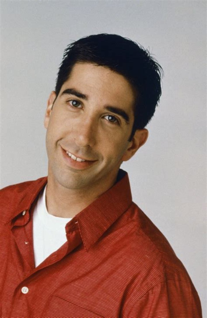Does Ross From Friends, David Schwimmer Have A Brother?