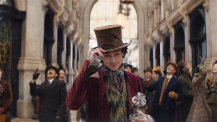 Does Timothee Chalamet Set A Good Example For His Fans?, Va-divorced