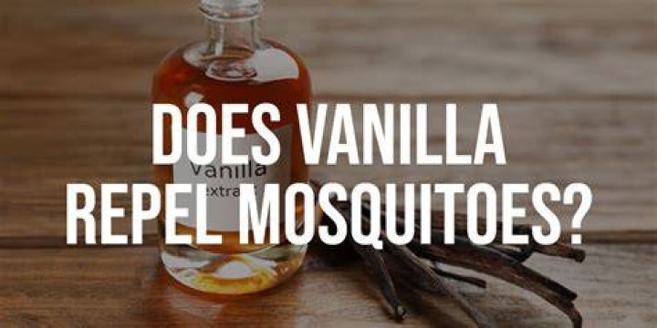 Does Vanilla Repel Mosquitoes? BestConsumerReviews