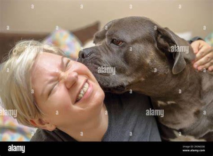 Dog licking a girl's face outside on the front porch stock photo OFFSET