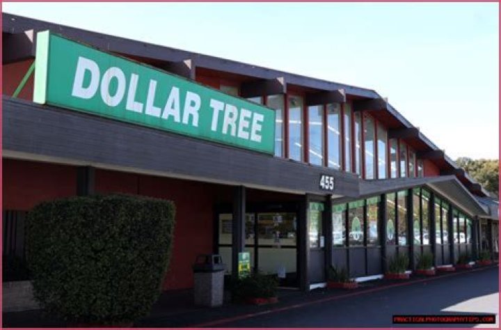 Dollar Tree Exposed Baseball Player Reese McGuire Arrested