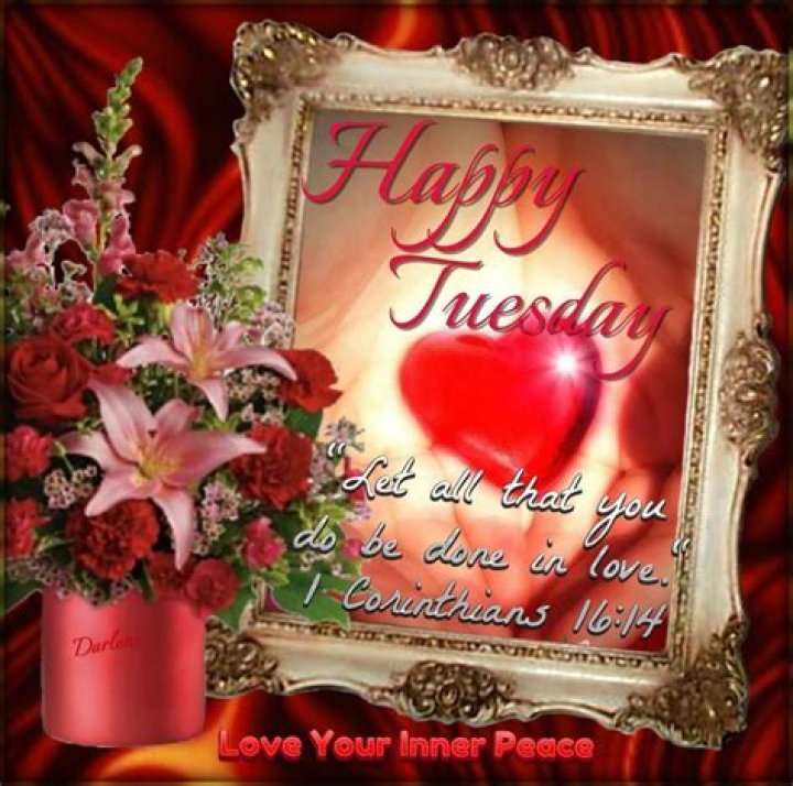 Done In Love Happy Tuesday Pictures, Photos, and Images for Facebook