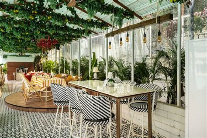 Dove Vivi Restaurant Listing Restaurants Portland Monthly