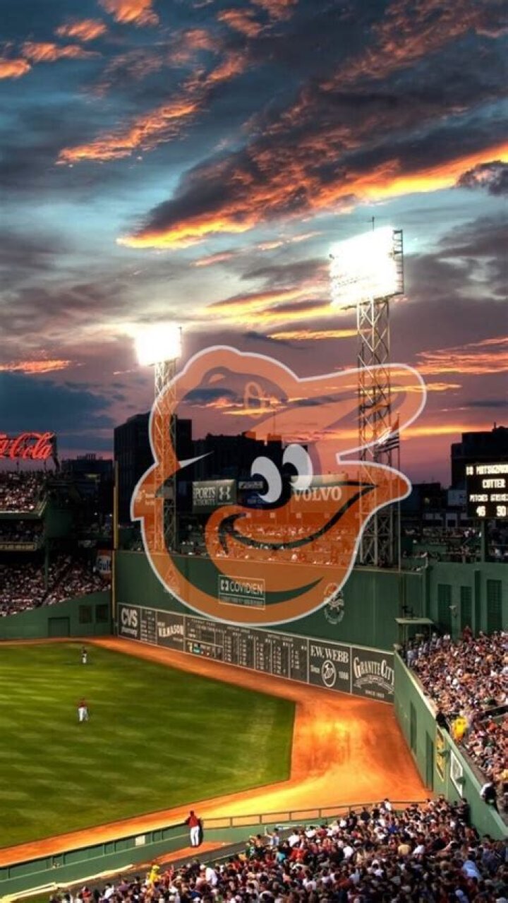 Download Baltimore Orioles Wallpaper GetWalls.io
