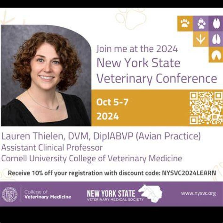 Dr. Lauren Thielen Husband, Children & Wiki Biography. Vetshows.