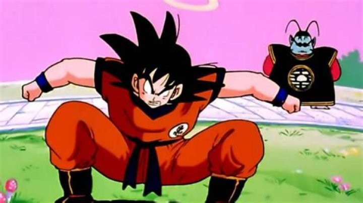 Dragon Ball YouTuber hace reto de entrenar como Goku con m&aacute;s de 60 Kg