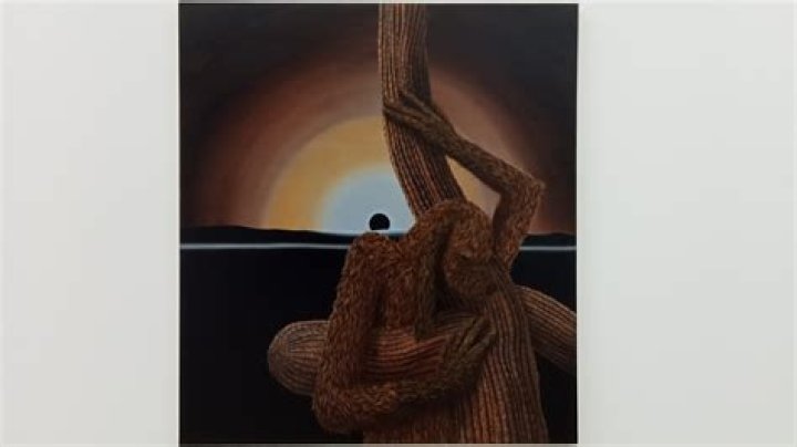 DREW DODGE ENIGMA L21 Gallery