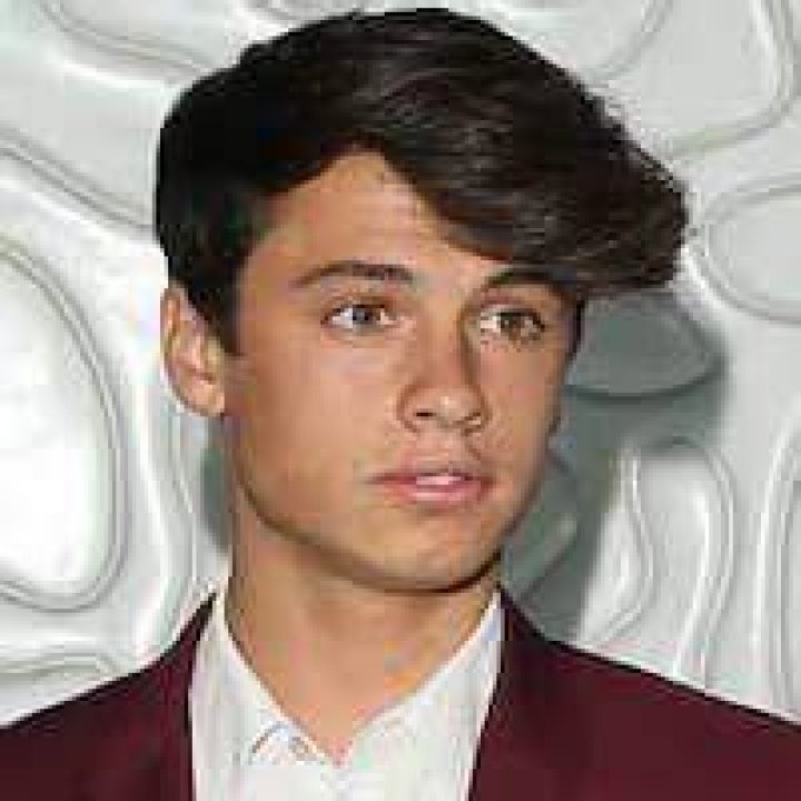 Dylan Jagger Lee Age, Bio, Height, Net worth Pamela Anderson Sons