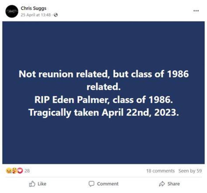 Eden Palmer Death Constellatia Martin Accused in Crash