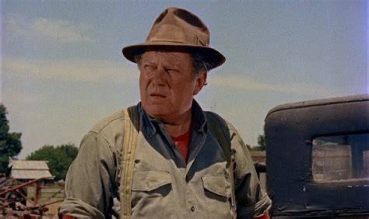 Edgar Buchanan IMDb