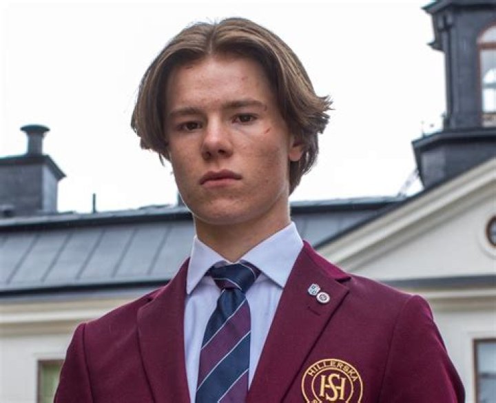 Edvin Ryding 14 facts about the Young Royals actor you need to know