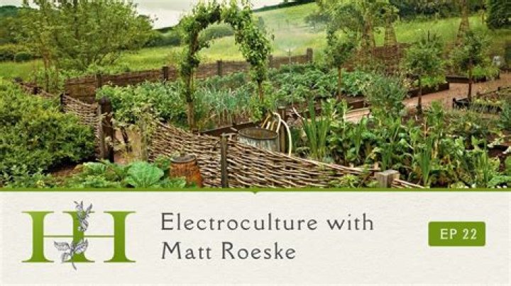 Electroculture Unveiled Exploring Matt Roeske’s Passion and