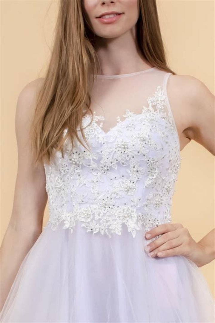 Elizabeth K GS1607 Embroidered Bodice Illusion Tulle Cocktail Dress