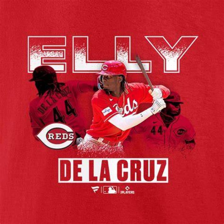Elly De La Cruz Desktop Wallpaper EnWallpaper
