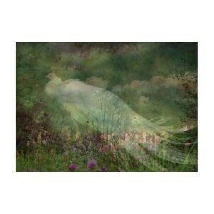 Enchanting Visitor Photograph by Shirley Sirois Fine Art America