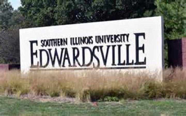 Erin Foley Edwardsville Illinois Assistant Principal Accused
