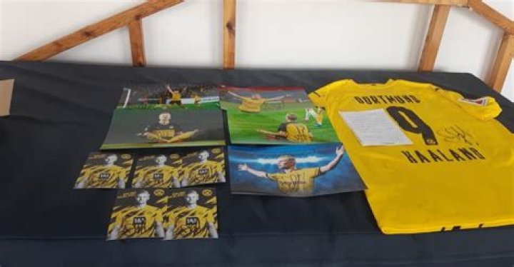 Erling Haaland Supports Autism Awareness Campaign in Romania Valahia.News