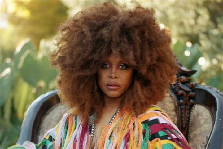 Erykah Badu age, height, husband, biography, family, net worth