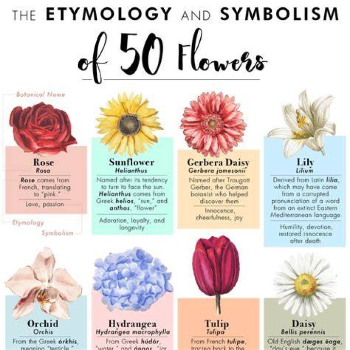 Etymology and Symbolism of 50 Flowers