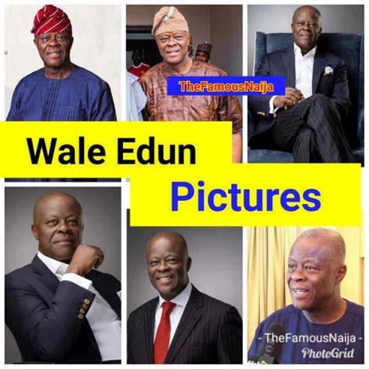 ExInvestment banker, Wale Edun, is Minister of finance and
