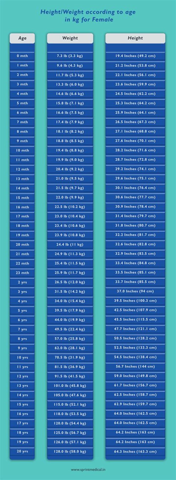 Exploring Height, Weight, Age, And Net Worth